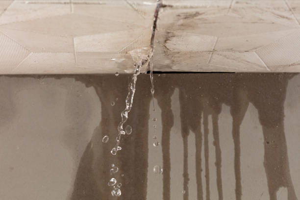 Professional Structural Drying technician working in Warren, ME